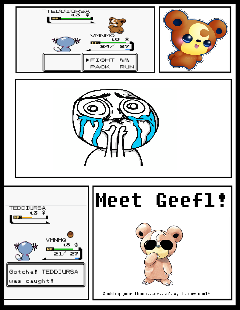 #4-GEEFL, the Teddiursa.