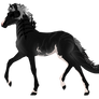 N3654 Padro Foal Design