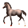 N2952 Padro Foal Design