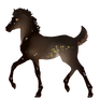 N7773 Padro Foal Design