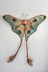 Comet Moth, Silk Moth Series