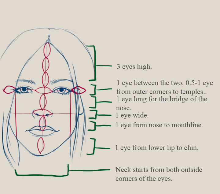 Facial Structure Notes