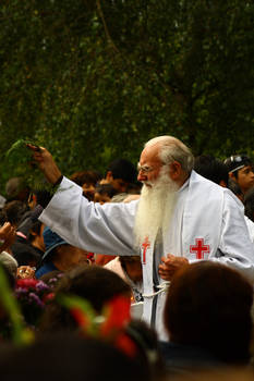 Father Teoforo blessing