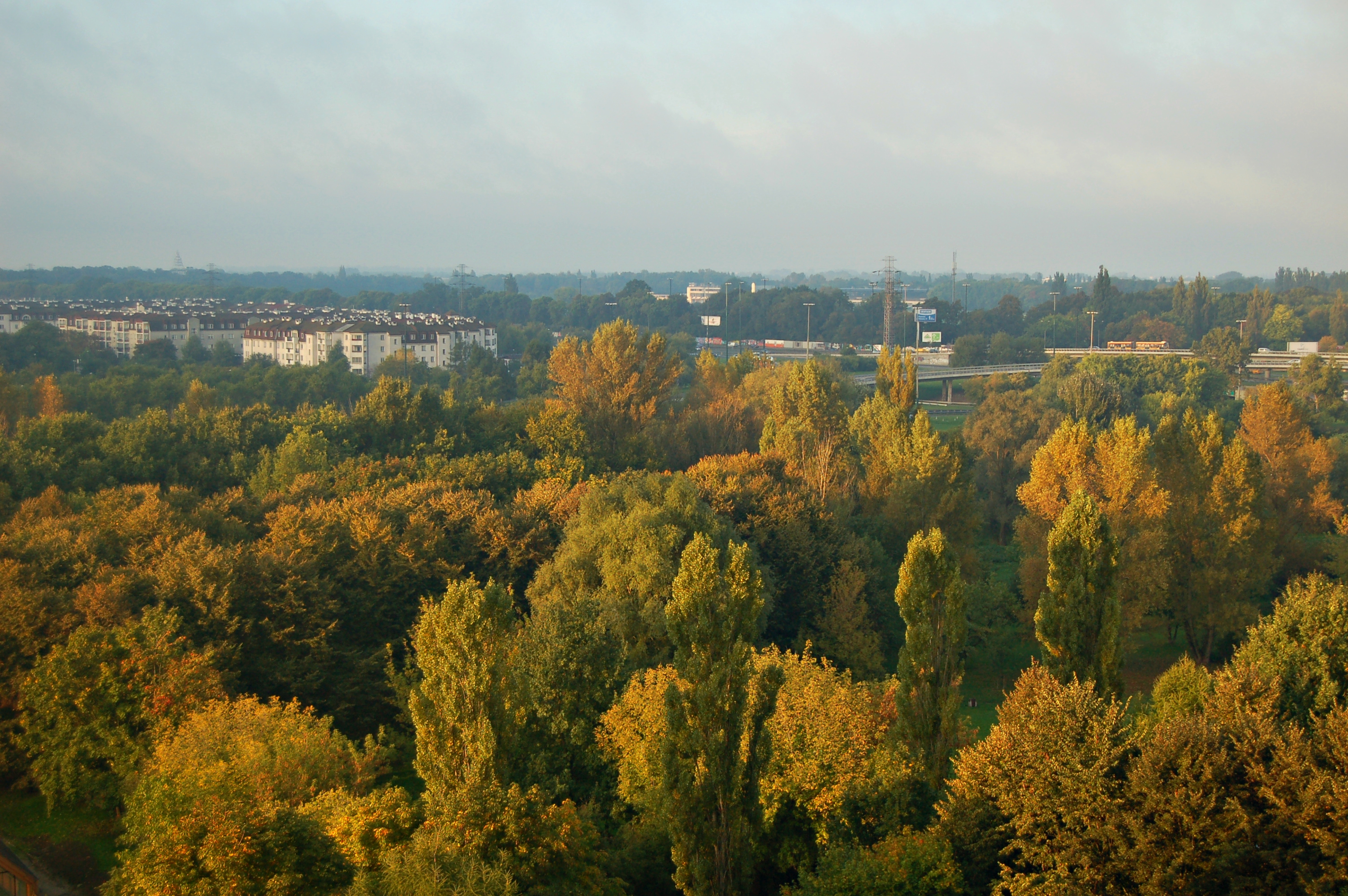 Welcome Autumn. We meet again.