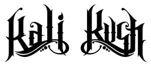 kali logo
