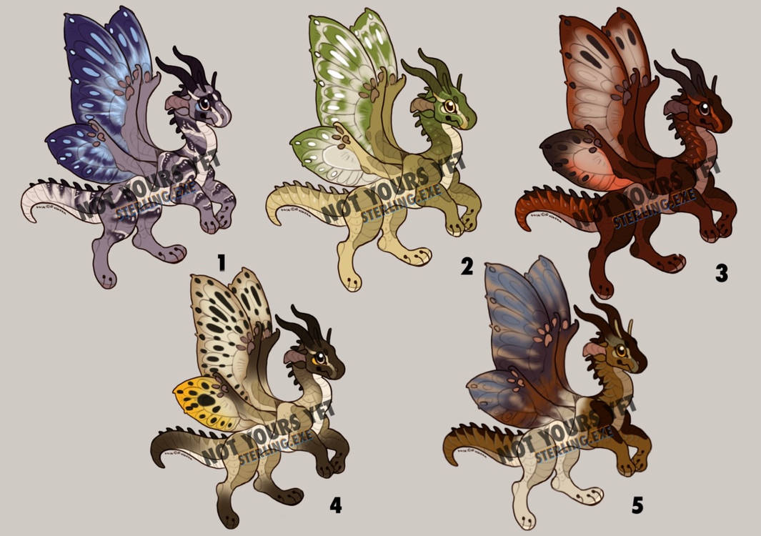 Silkwings adopts (CLOSED) by Sterlingexee on DeviantArt