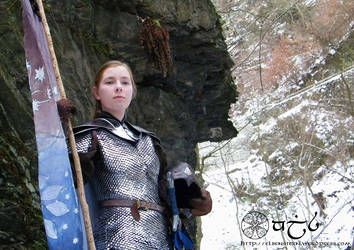 Elrian: Elven shield maiden by Anylon