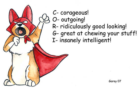 Corgi Superhero