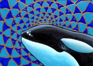 Orca Mandala ACEO