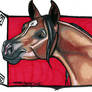 Arabian Horse Caricature