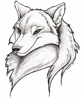 Wolfess Portrait