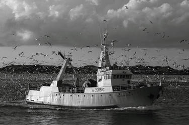 Cruz de Malta