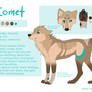 Comet ref