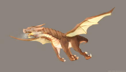 Dragon Concept