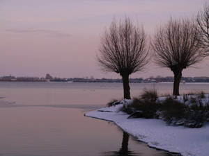 beautiful lake in the winter