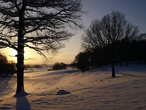 Winterlandscape I