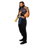 WWE Roman Reigns Universal Champion Full Body PNG