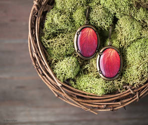 Red Rose oval leverback earrings