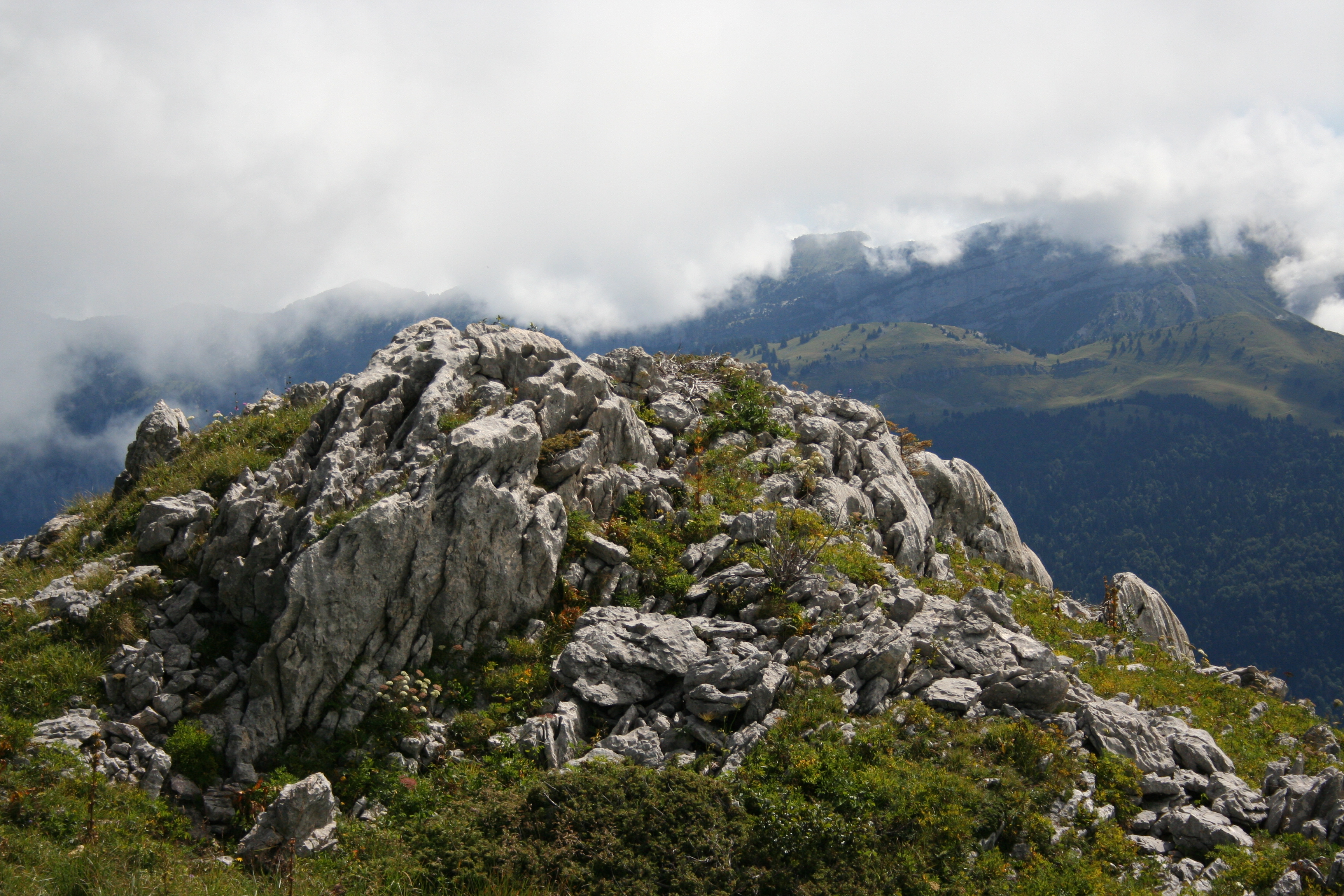 What a view (and climb)