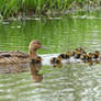 Mother and kids