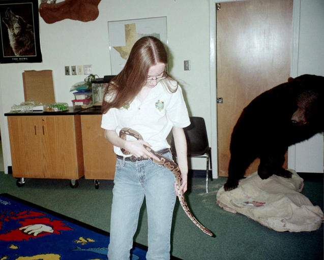 Python Stretch by jadewolf06 on DeviantArt