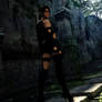 The Tomb Raider