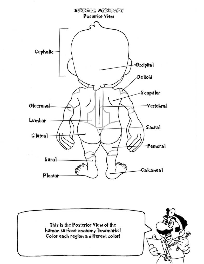 Download Doctor Mario's Anatomy Coloring Book Page 3 by AmbrosiaNBurbank on DeviantArt