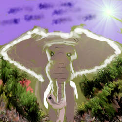 Elephant walk v881