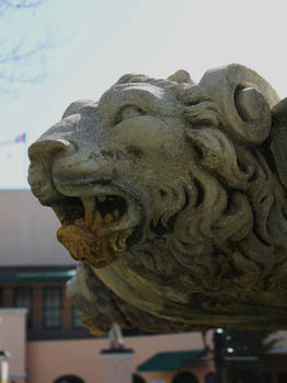 Fountain Lion