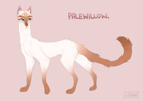 [GIFT] PALEWILLOW