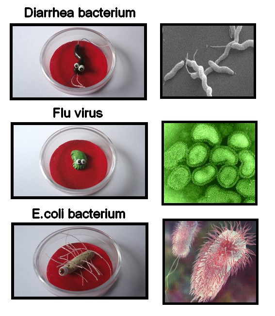 My little Microbe IV