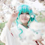 yuki miku 2013