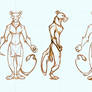 Panther Warrior turnaround