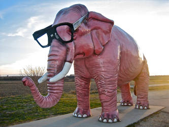 Apparently my Pink Elephants wear glasses