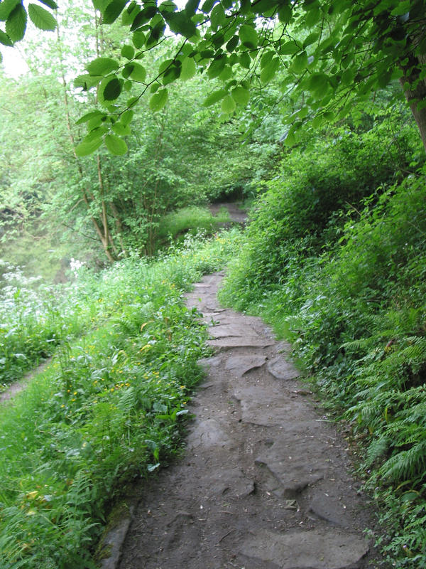 'Walking the middle path' by garnersworld on DeviantArt