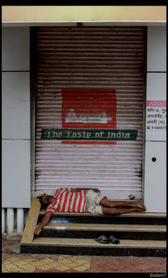 The Taste of India