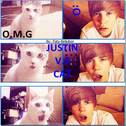 Justin V.S Cat