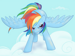 Rainbow Dash : Wanna Race?! by northernlightsmlp