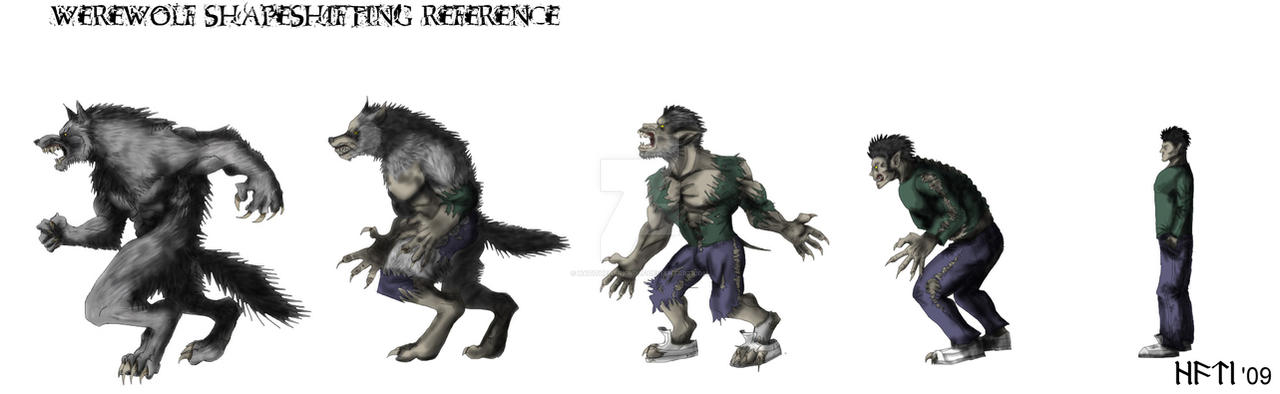 Transformation References Transformation Reference by HatiTheDarkWolf on DeviantArt