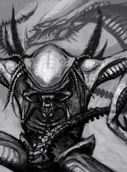 Explore the Best Predalien Art | DeviantArt