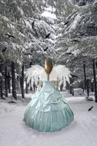 angel of winter