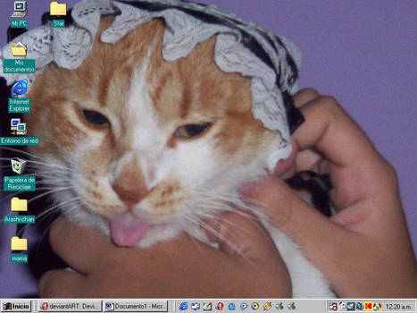 desktop...mi cat