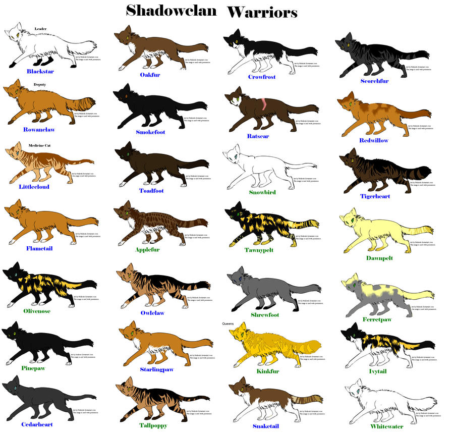 Shadowclan Id Shadowclan Warriors by Willowclaw101030 on DeviantArt