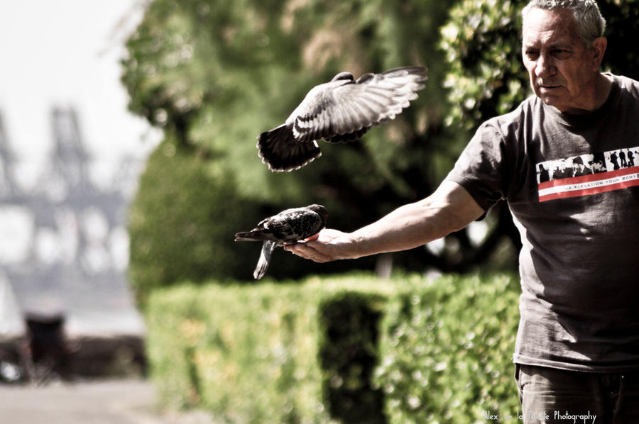 bird eating in oldman hand