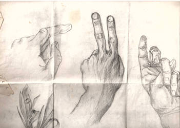 Hand and Finger Poses