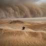 Beneath the Desert Crown by WanderingFrames