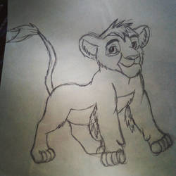 Lion cub sketch