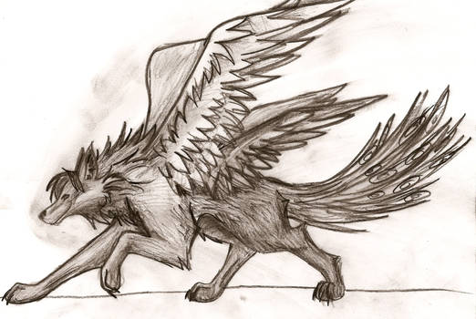 Peacock-Wolf thing in charcoal