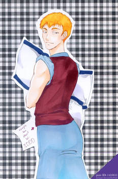 pillow holder