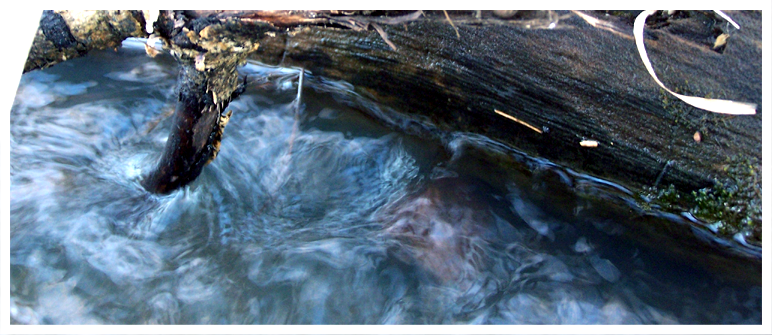 +Cyclone+ by MeganAllen on DeviantArt